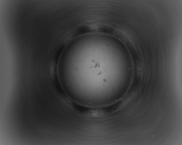 X0000100390275200806061301
