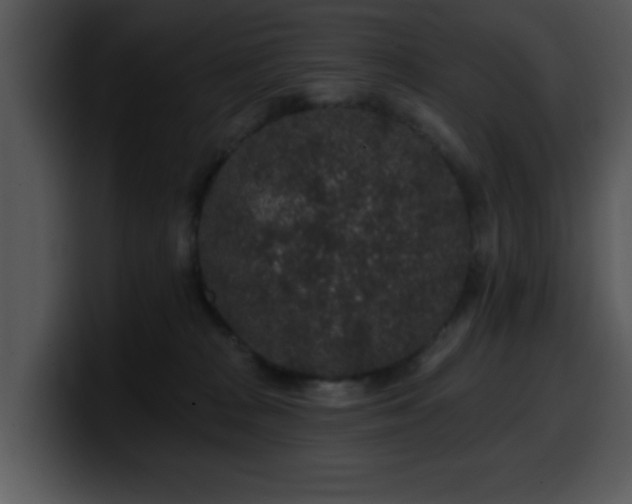 X0000100390277200806061301