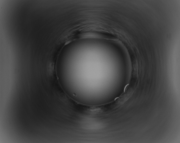 X0000100390278200806061301