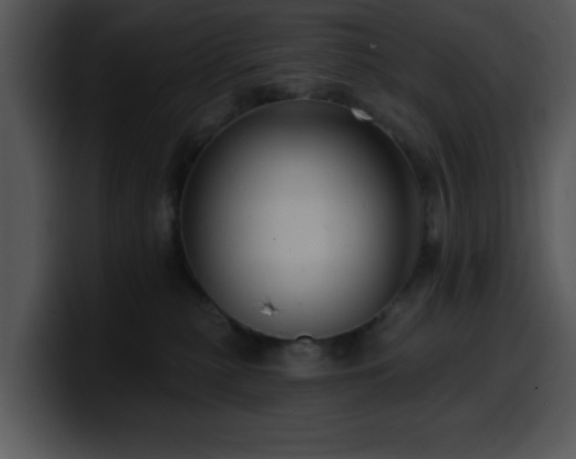 X0000100390279200806061301