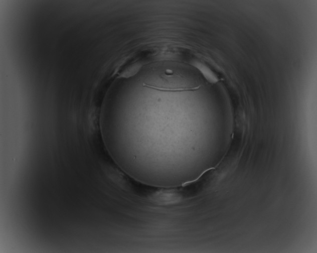 X0000100390280200806061301