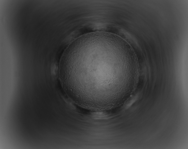 X0000100390281200806061301