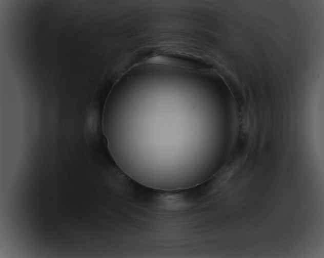 X0000100390283200806061301
