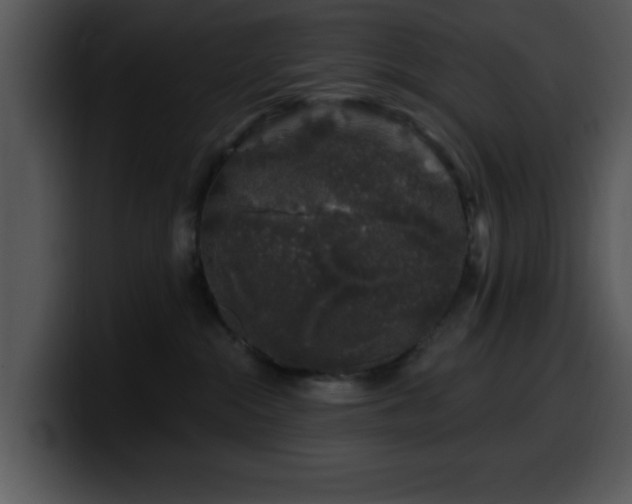 X0000100390284200806061301