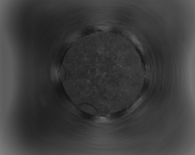 X0000100390285200806061301