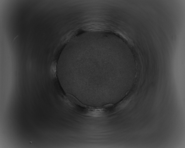 X0000100390288200806061301