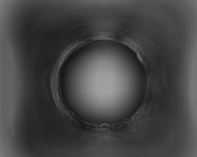 X0000100390289200806061300