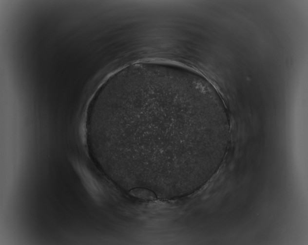 X0000100390290200806061300