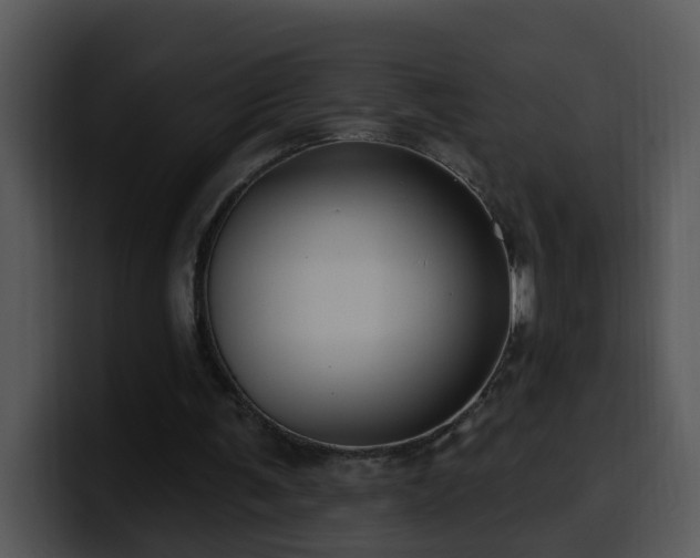 X0000100390291200806061300