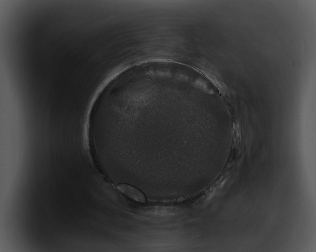 X0000100390292200806061300