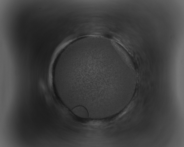 X0000100390294200806061300