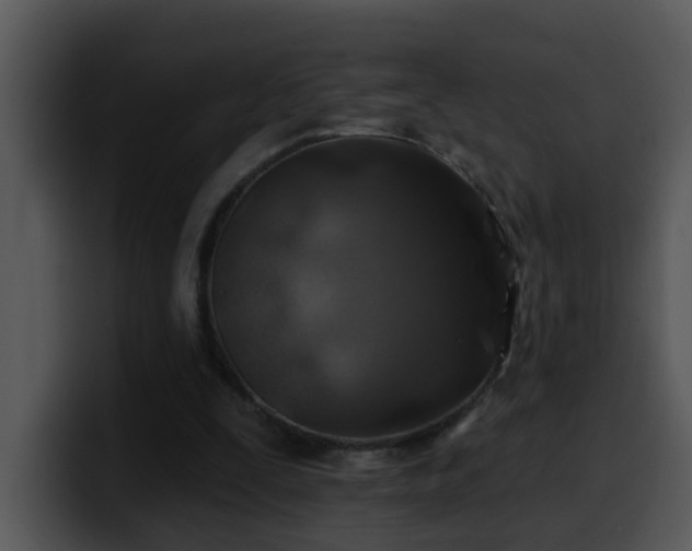 X0000100390295200806061300