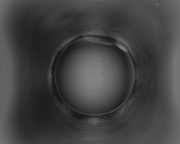 X0000100390298200806061300