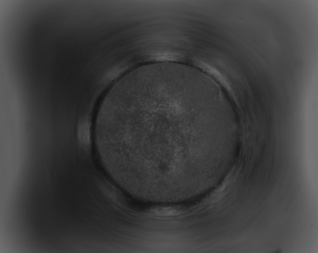 X0000100390299200806061300