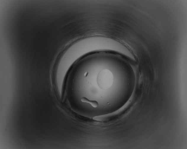 X0000100390302200806061300