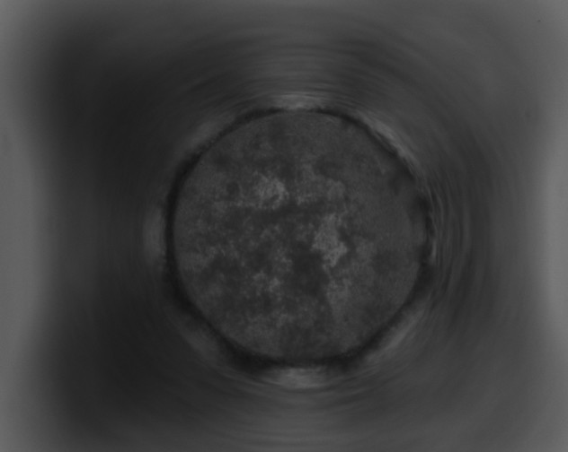 X0000100390303200806061300