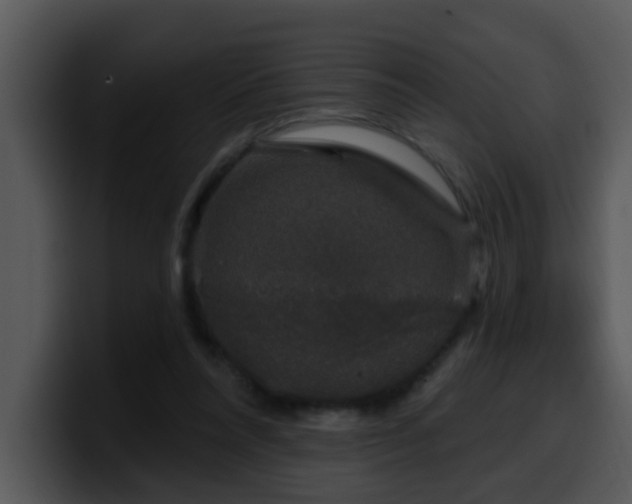 X0000100390304200806061300