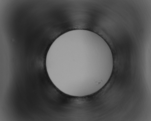 X0000100390305200806061300