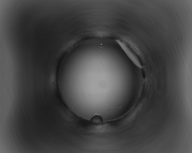 X0000100390306200806061300