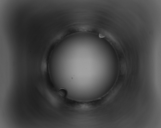 X0000100390310200806061300