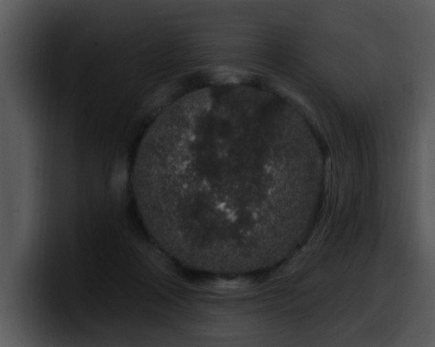 X0000100390314200806061300