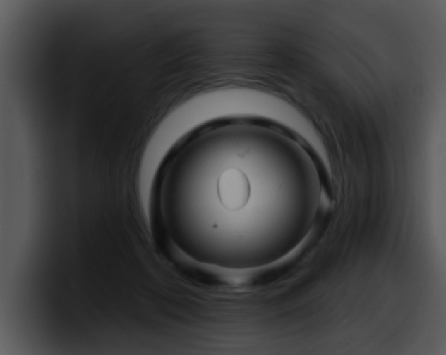 X0000100390316200806061300