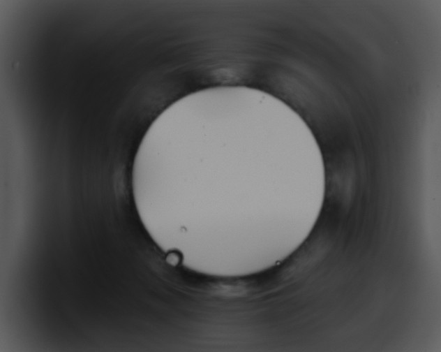 X0000100390317200806061300