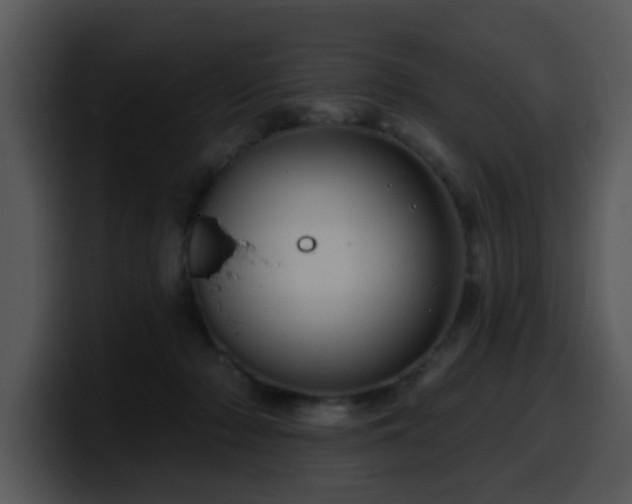 X0000100390318200806061300