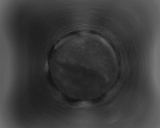 X0000100390320200806061300