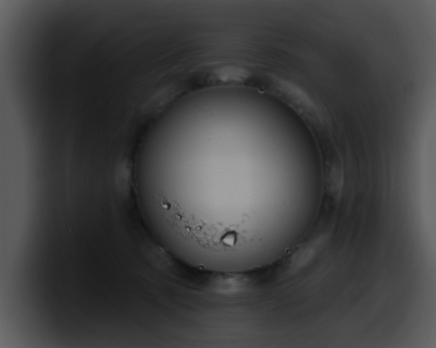 X0000100390321200806061300
