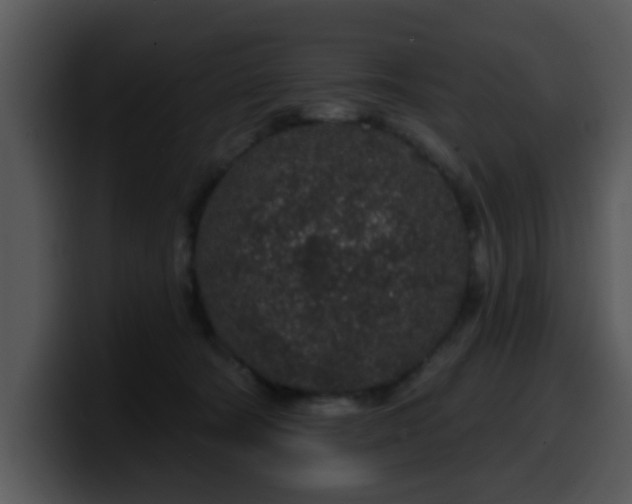 X0000100390322200806061300