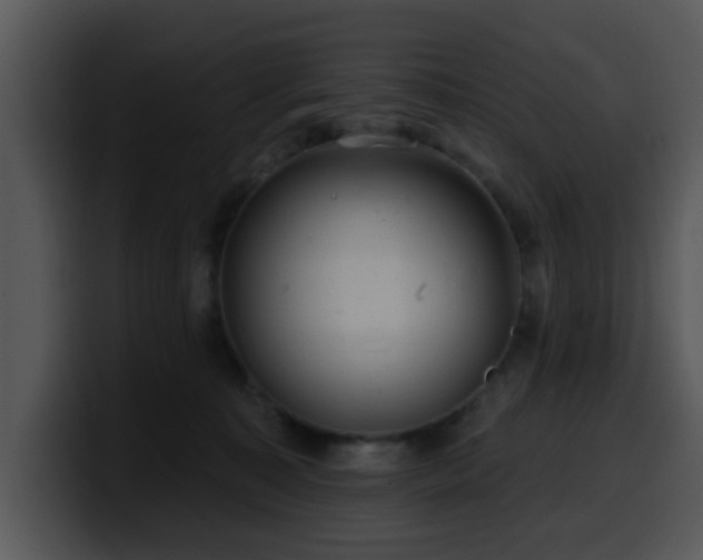 X0000100390323200806061300