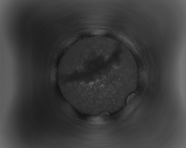 X0000100390325200806061300