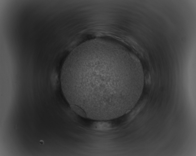 X0000100390327200806061300