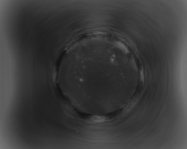 X0000100390328200806061300