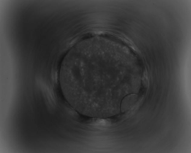 X0000100390330200806061300