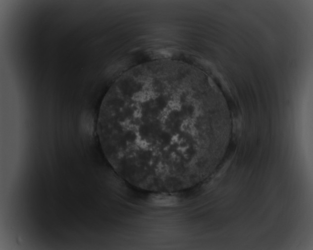 X0000100390331200806061300