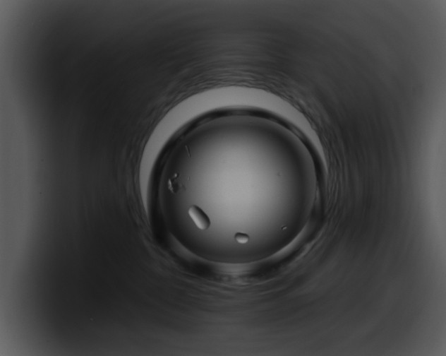 X0000100390332200806061300