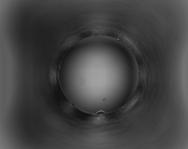 X0000100390333200806061300