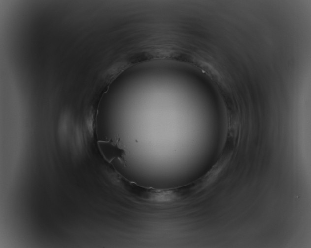 X0000100390334200806061259