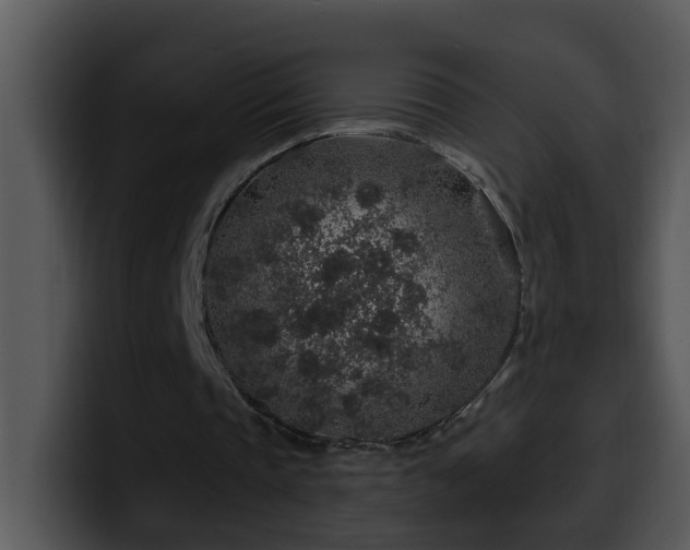 X0000100390337200806061259