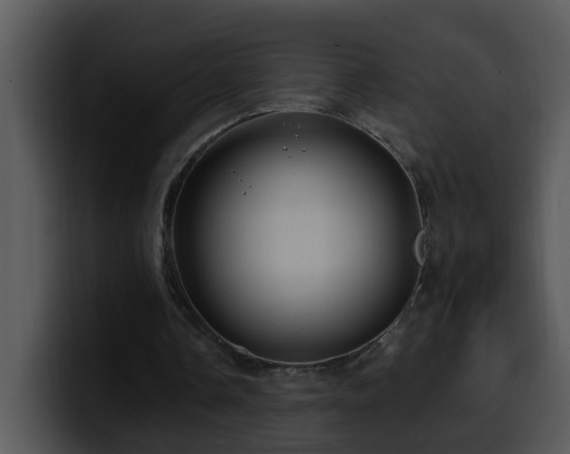 X0000100390338200806061259