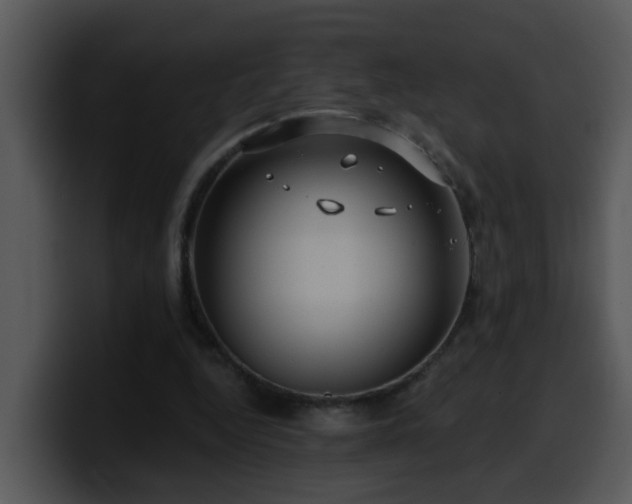 X0000100390344200806061259