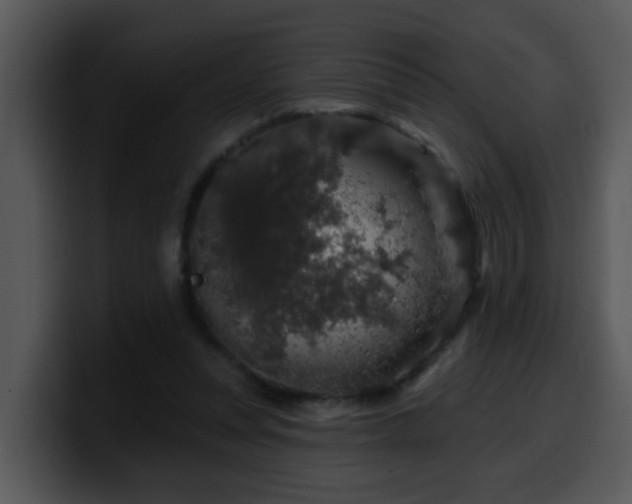 X0000100390351200806061259