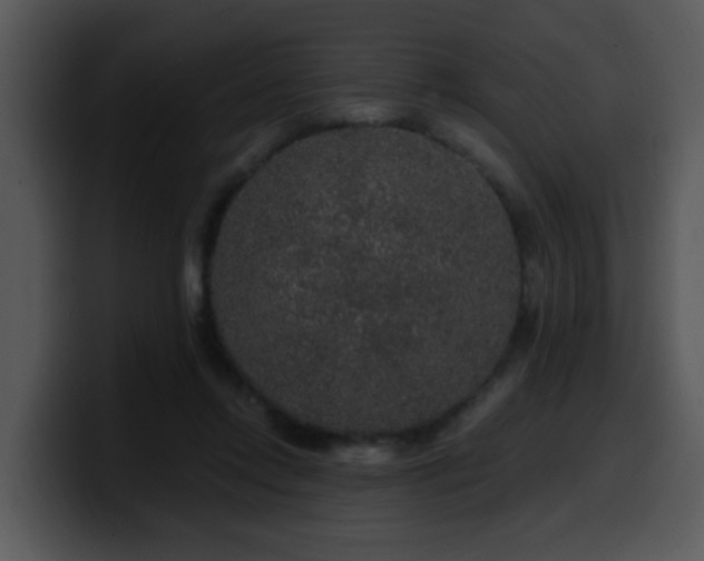 X0000100390358200806061259