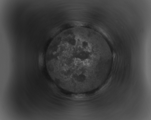 X0000100390359200806061259