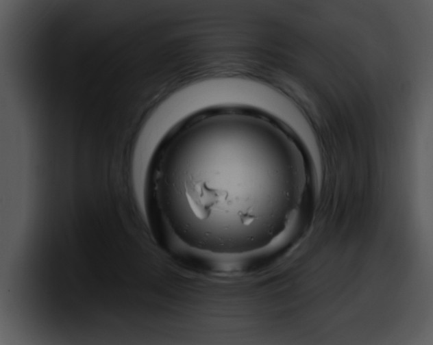 X0000100390362200806061259
