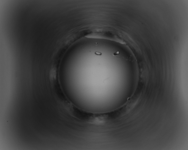 X0000100390368200806061259