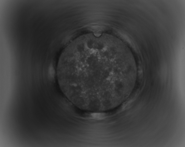 X0000100390371200806061259