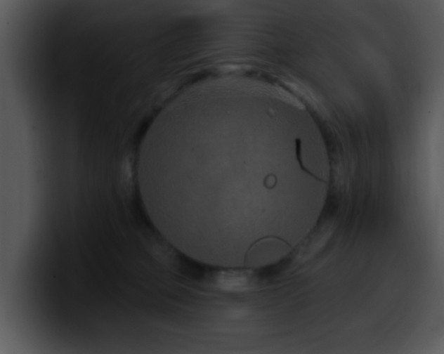 X0000100390373200806061259
